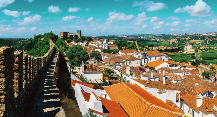 From Lisbon: Nazare Big Waves and Óbidos Guide Day Trip - The guide can shape the whole day