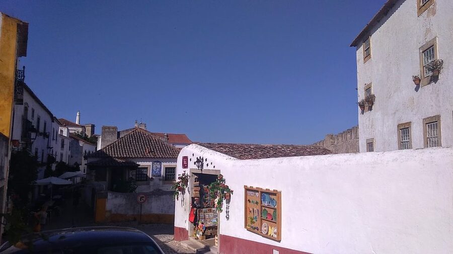 From Lisbon: Private Óbidos and Nazaré Tour - Why this private day trip works