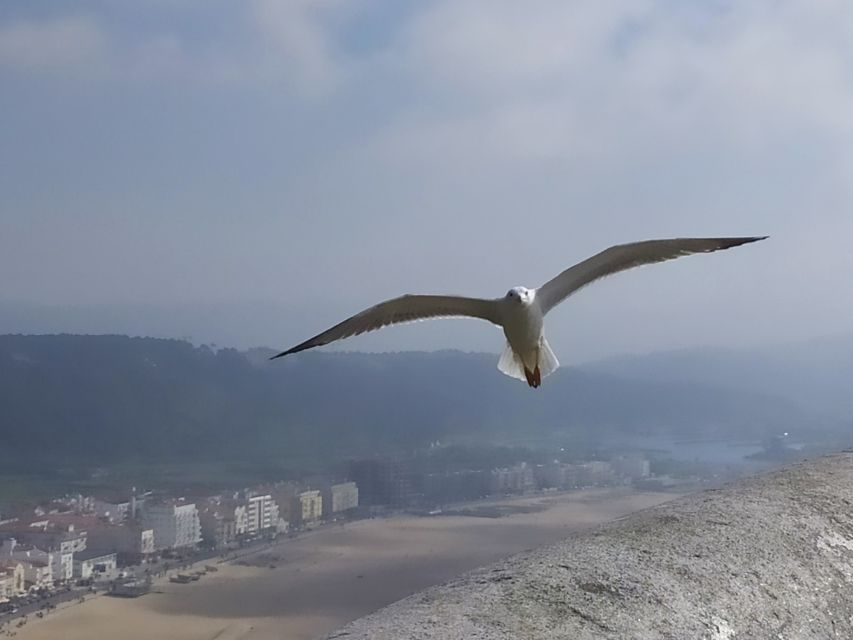 From Lisbon: Private Óbidos and Nazaré Tour - Nazaré Beach: fishing culture and lunch