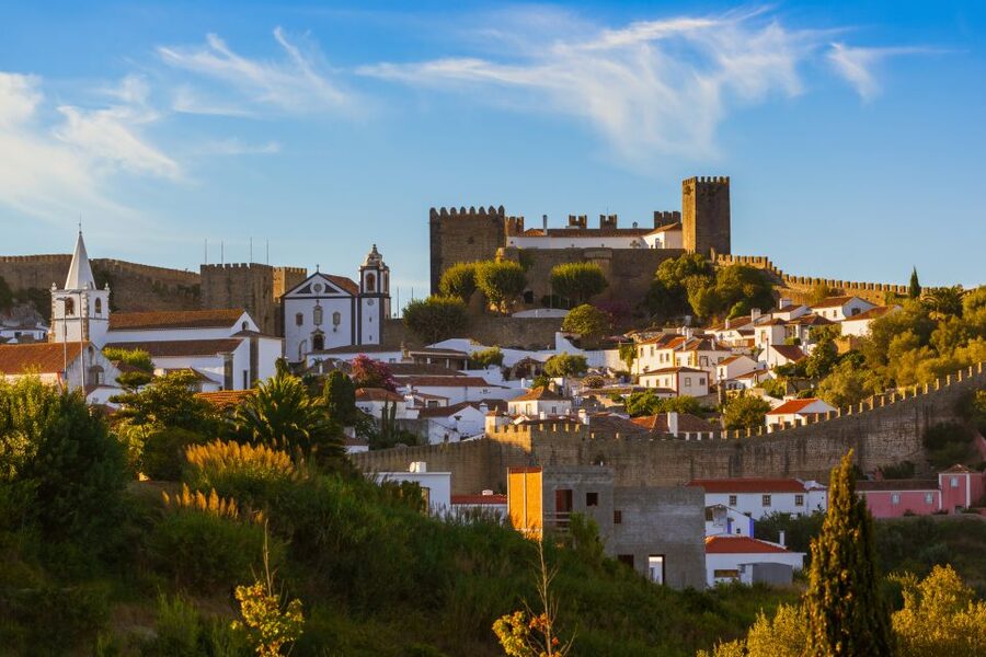 From Lisbon: Private Óbidos and Nazaré Tour - The giant waves: spectacular, but never promised