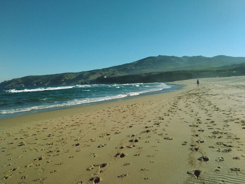From Lisbon: Sintra and Cascais Natural Park Private Tour - Why this private Sintra and Cascais day works