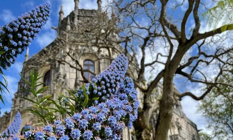 From Lisbon: Sintra, Pena Palace and Regaleira Day Trip - What the guides add to the day