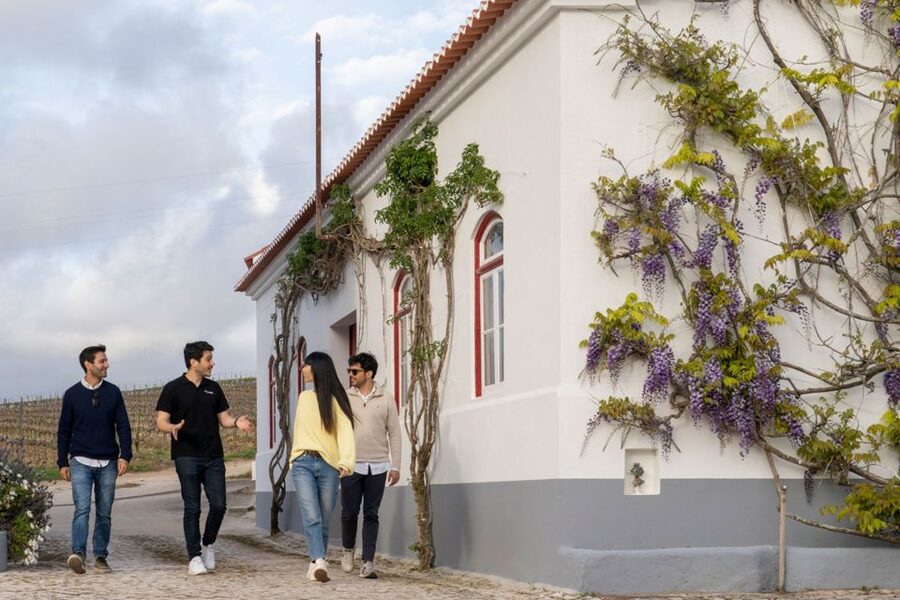 From Lisbon: Sintra & Pena Palace Day Trip with Wine Tasting - Sintra and the Romantic world of Pena Palace