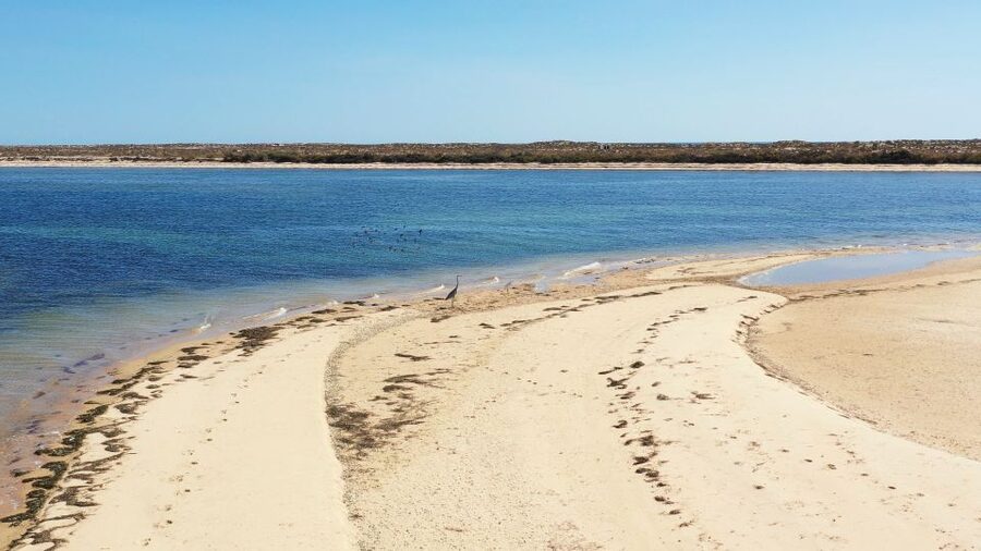 From Olhão: Ria Formosa 3-Island Full-Day Tour - Who will enjoy this tour most?