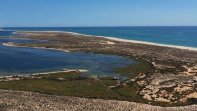 From Olhão: Ria Formosa 3-Island Full-Day Tour