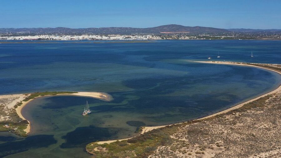 From Olhão: Ria Formosa 3-Island Full-Day Tour - Hangares and the quieter parts of the Ria Formosa