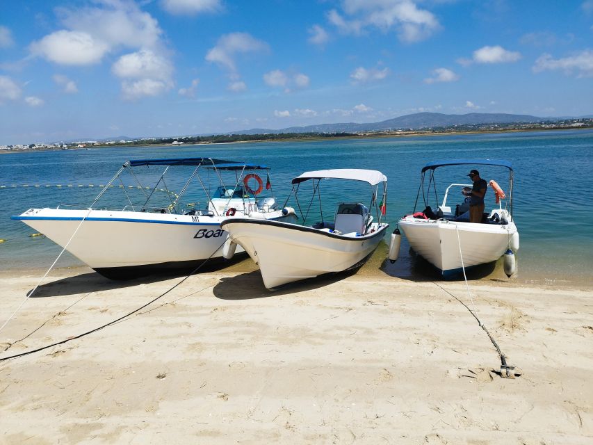 From Olhão: Ria Formosa 3-Island Full-Day Tour - How much time do you really get?