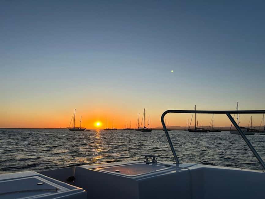 From Olhão: Ria Formosa Sunset Island Tour - Should you book the Ria Formosa sunset tour?