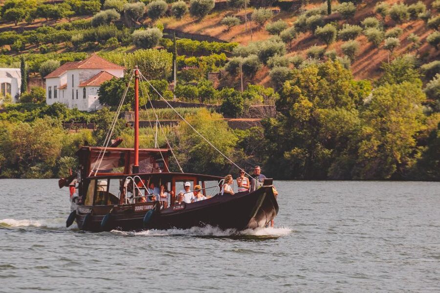 From Pinhão: Douro Valley Rabelo Boat Tour with Audio Guide - Under the Historic Eiffel Bridge