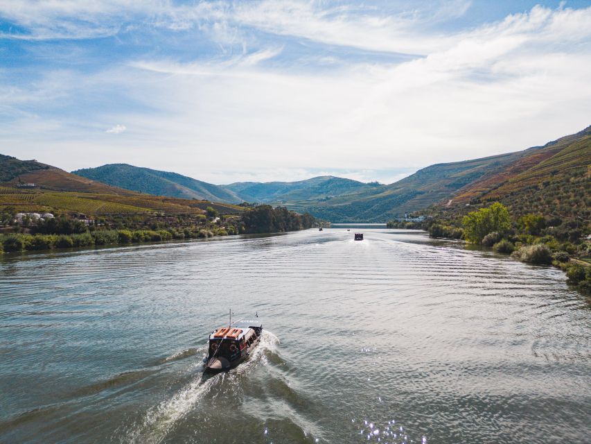 From Pinhão: Douro Valley Rabelo Boat Tour with Audio Guide - The WebApp Audio Guide: Helpful, With a Catch