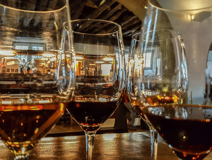 From Pinhão: Douro Valley Tour w/ Wine Tasting and Boat Trip - A high viewpoint reveals the work behind the vineyards