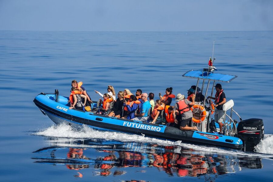 From Ponta Delgada: Whale and Dolphin Watching Trip - Leaving Ponta Delgada Harbour at Portas do Mar