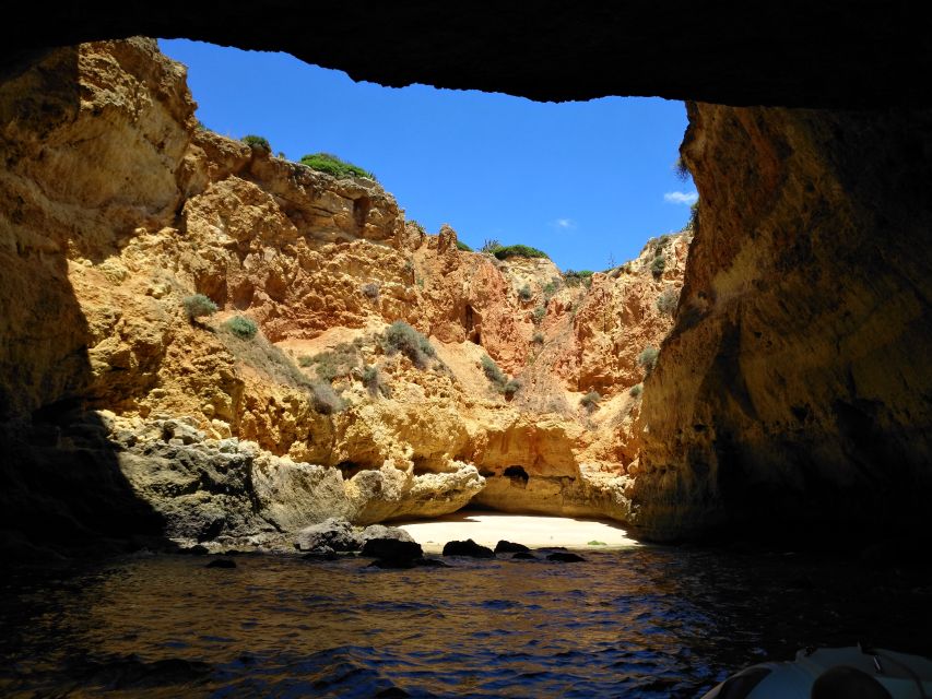 From Portimão: Benagil Caves Guided Speedboat Tour - Should you book the Arctic Seagull Benagil trip?