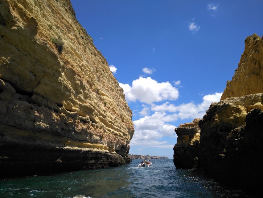 From Portimão: Benagil Caves Guided Speedboat Tour - Fifteen caves and beaches, not just one famous stop