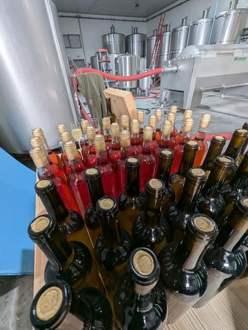 From Porto: 2 Wine Regions, Farm-to-Table Lunch & Boat - Who should book this experience?