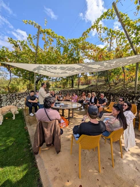 From Porto: 2 Wine Regions, Farm-to-Table Lunch & Boat - Is $127 a good value?