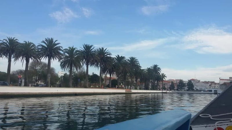 From Porto: Aveiro & Coimbra Tour with Moliceiro Boat Cruise - The moliceiro cruise and Aveiro salt pans