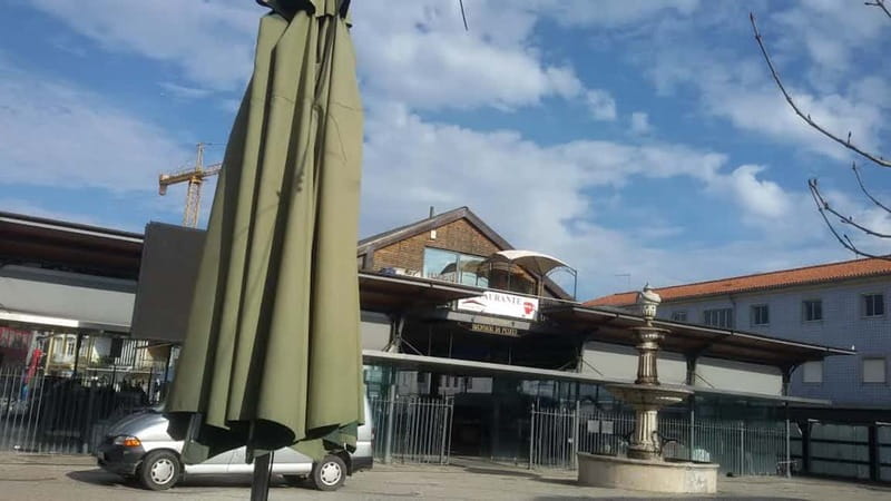 From Porto: Aveiro & Coimbra Tour with Moliceiro Boat Cruise - Arriving in Aveiro, Portugal’s canal city