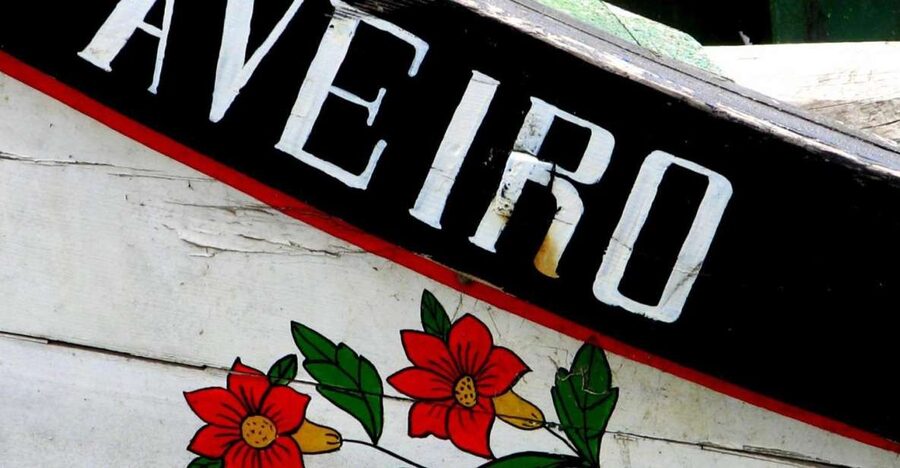 From Porto: Aveiro Half-Day Tour with 1-Hour Cruise - What to expect on the 45-minute moliceiro cruise
