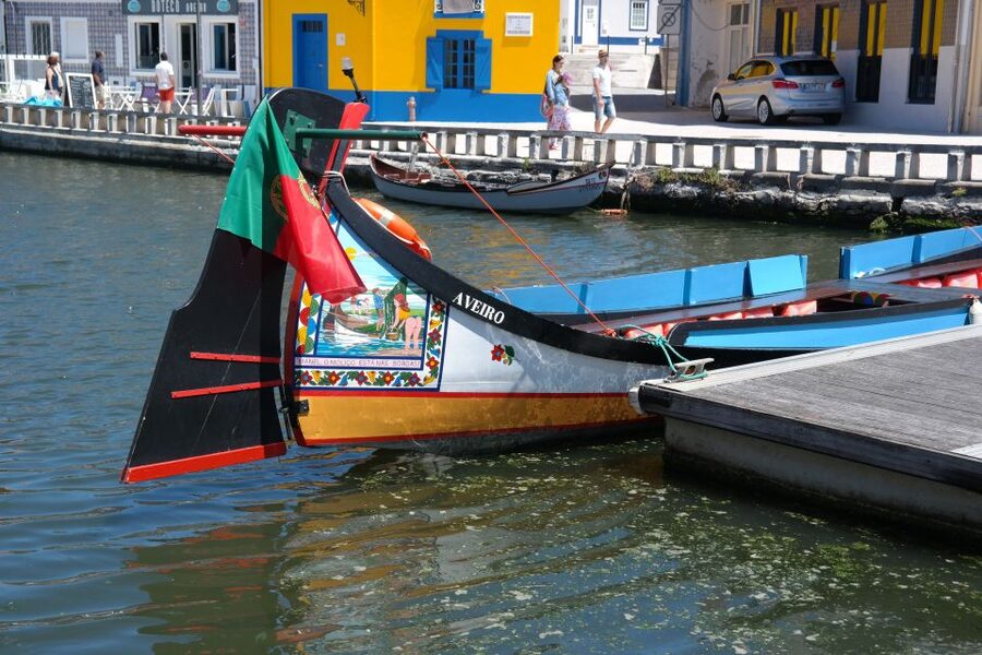 From Porto: Aveiro Half-Day Tour with 1-Hour Cruise - The return to Porto and the value of the schedule