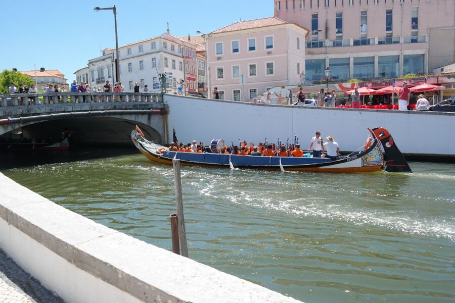 From Porto: Aveiro Half-Day Tour with 1-Hour Cruise - Who will enjoy this Aveiro outing most