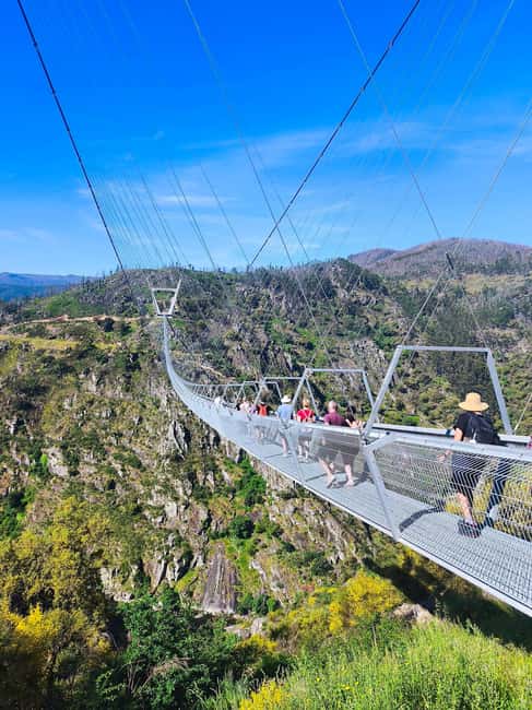 From Porto: Aveiro, Paiva Walkways and Arouca 516 Footbridge - Why this Porto day trip is unusual