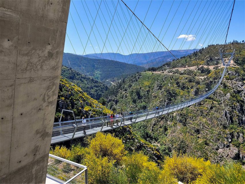 From Porto: Aveiro, Paiva Walkways and Arouca 516 Footbridge - Is $142 a fair price?