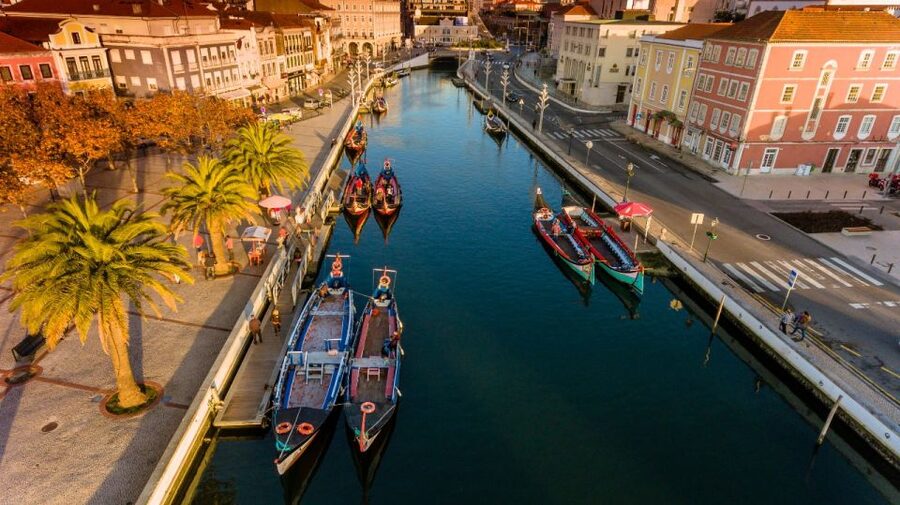 From Porto: Aveiro Private Guided Day Trip - Saint Joana, tiles, and the city’s cultural side