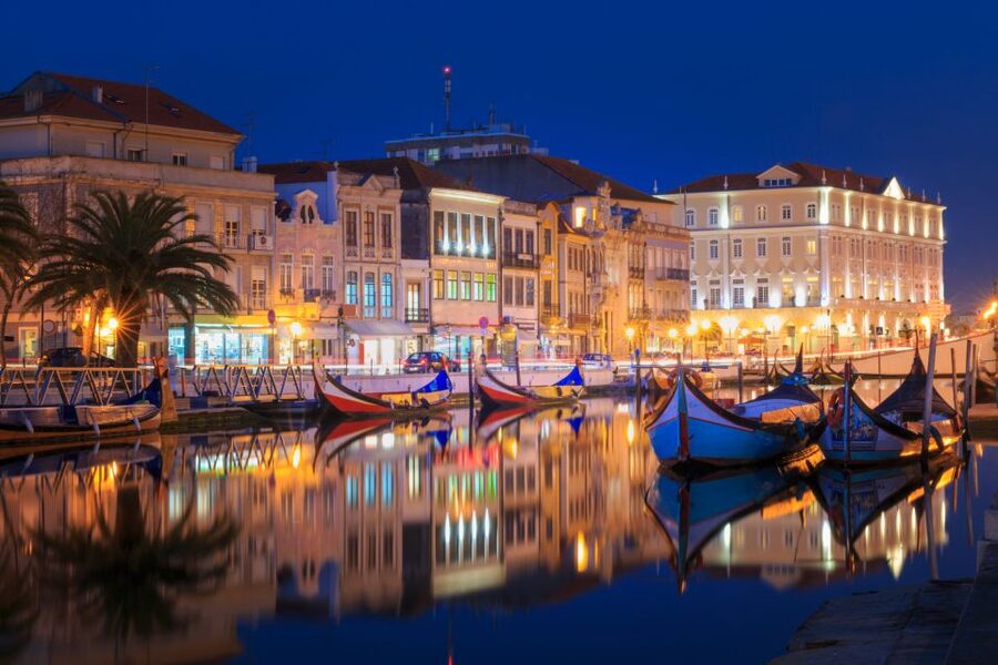 From Porto: Aveiro Private Guided Day Trip - What the private vehicle adds