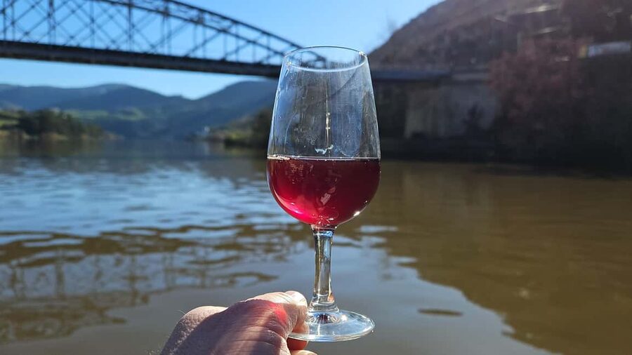 From Porto Day Douro Valley Wine Tour 2 Wine Tasting & Lunch - Five things to know before booking