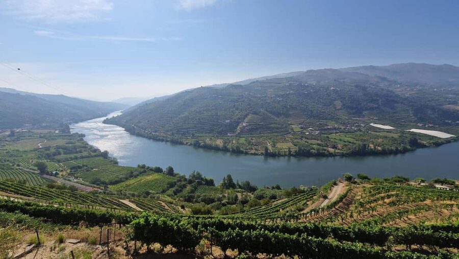 From Porto Day Douro Valley Wine Tour 2 Wine Tasting & Lunch - Sabrosa: the first wine stop