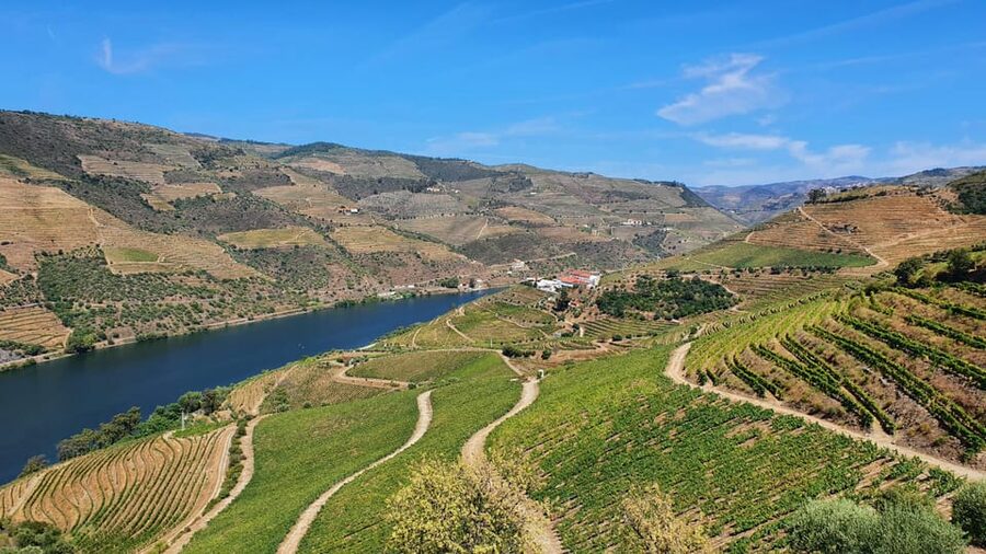 From Porto Day Douro Valley Wine Tour 2 Wine Tasting & Lunch - Peso da Régua and the return to Porto
