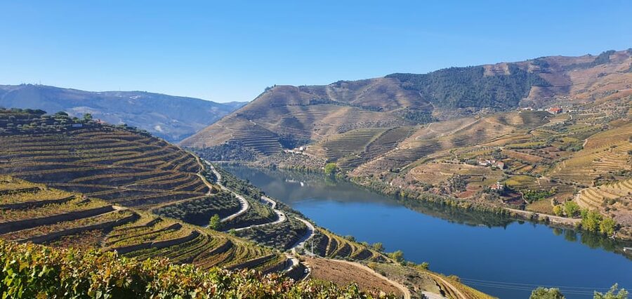 From Porto Day Douro Valley Wine Tour 2 Wine Tasting & Lunch - Guides can make or break the experience