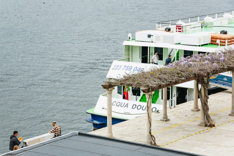 From Porto: Douro River Cruise to Régua with Lunch - The Douro Valley From a Boat
