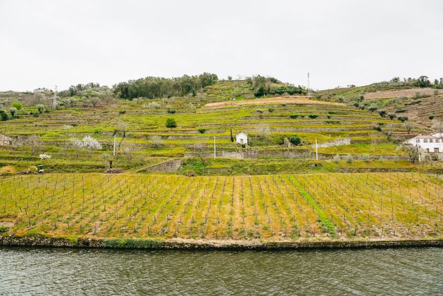 From Porto: Douro River Cruise to Régua with Lunch - A Generous Lunch With Wine