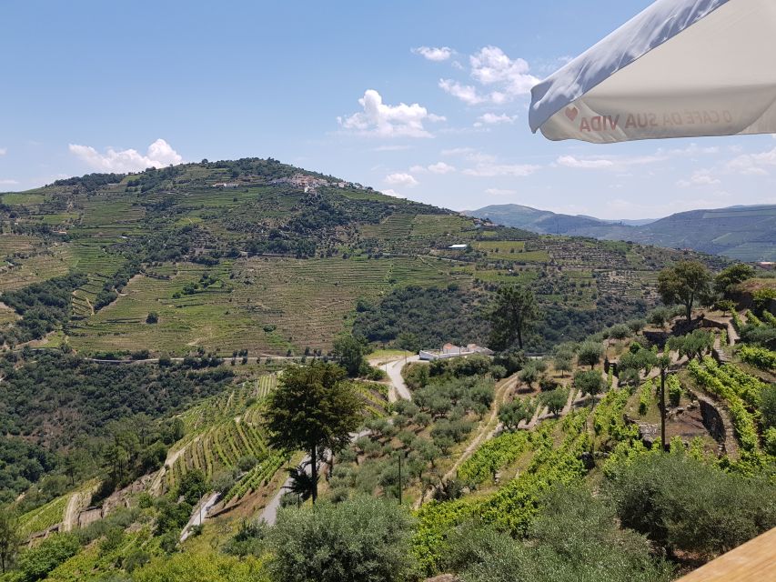 From Porto: Douro Valley 3 Vineyards Tour with Lunch - Booking Verdict: Is $108 a Fair Price?