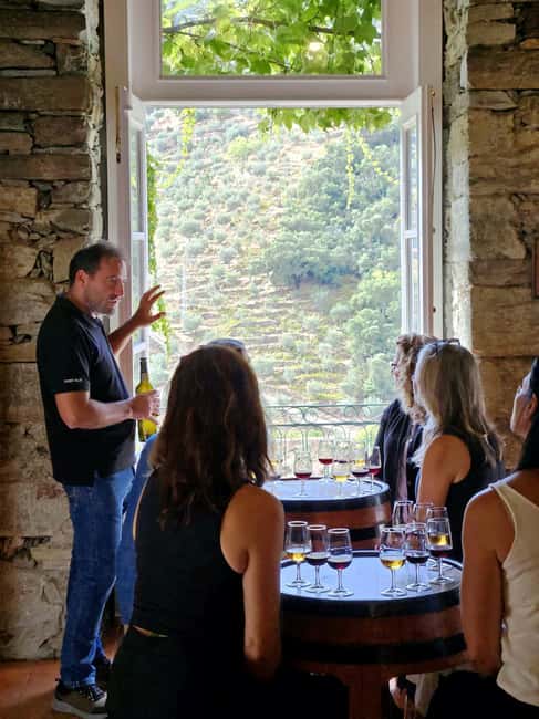 From Porto: Douro Valley 3 Vineyards Tour with Lunch - First Vineyard: An Introduction to Douro Wine