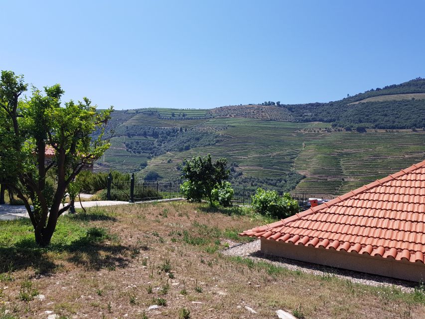 From Porto: Douro Valley 3 Vineyards Tour with Lunch - The Second and Third Wine Experiences