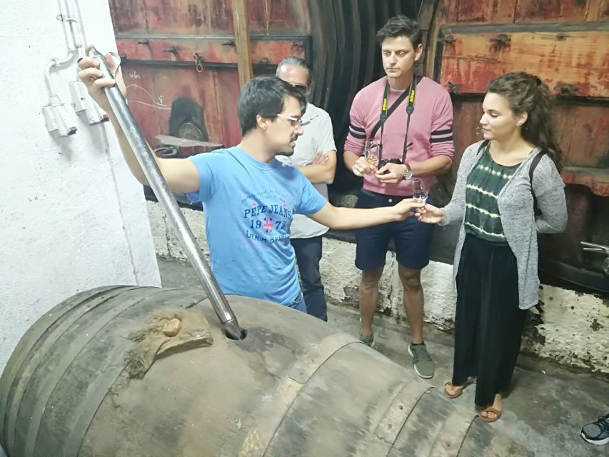From Porto: Douro Valley 3 Vineyards Tour with Lunch - Practical Limits and Who Will Enjoy It