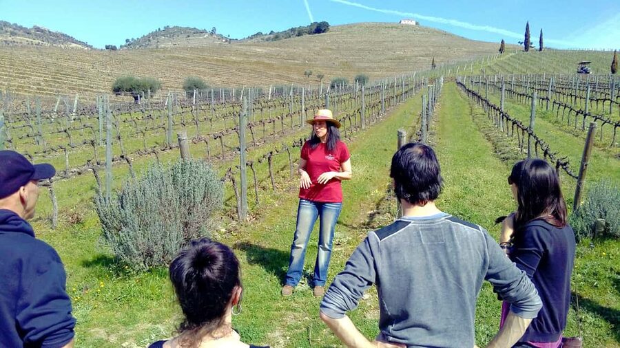 From Porto: Douro Valley 3 Vineyards Tour with Lunch - Leaving Porto for the Douro