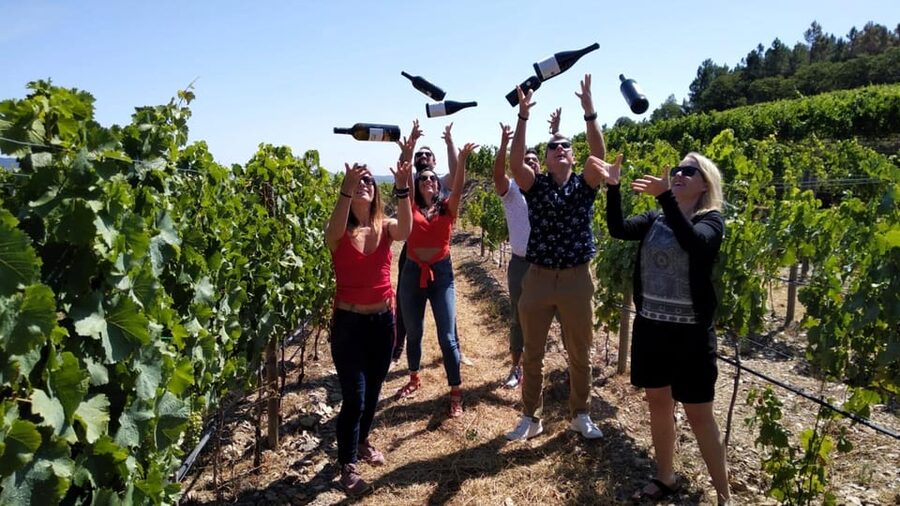 From Porto: Douro Valley Tour with Tastings, Boat & Lunch - Why the Douro Valley deserves a full day from Porto