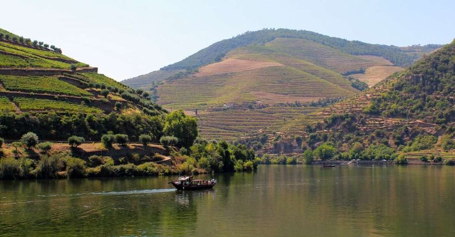 From Porto: Douro Valley Tour with Tastings, Boat & Lunch - The first family winery and Douro DOC tasting