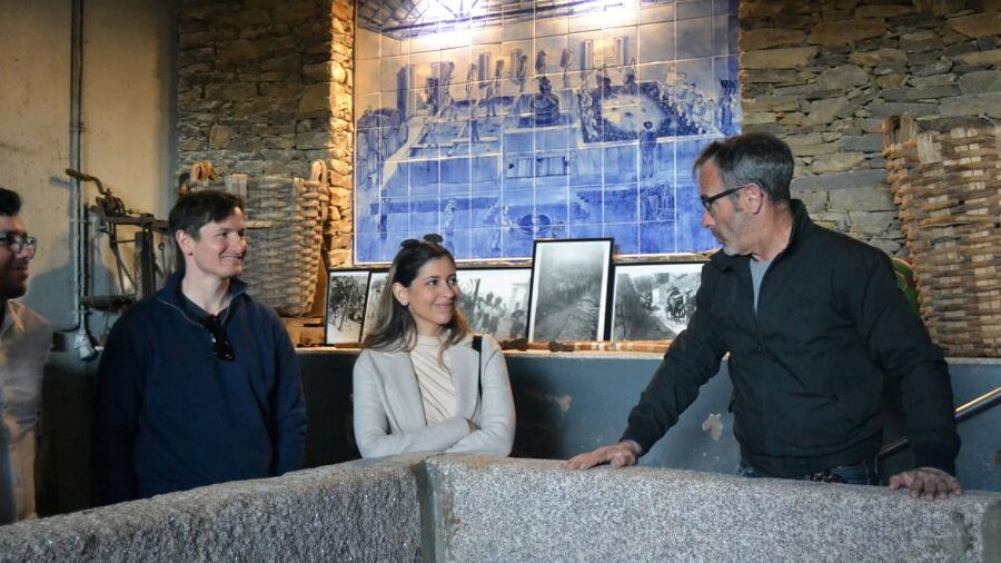 From Porto: Douro Valley Tour with Tastings, Boat & Lunch - The afternoon Port tasting