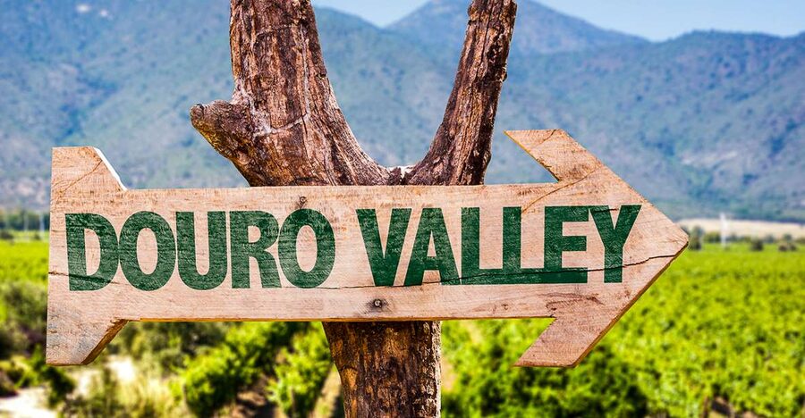 From Porto: Douro Valley w/ Boat Tour, Wine Tasting & Lunch - The N222 and the road to Pinhão