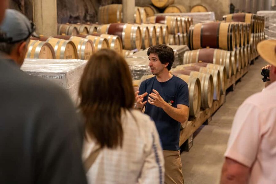 From Porto: Douro Valley Wine Tour with Lunch and Cruise - Pinhão and the 45-minute Douro cruise
