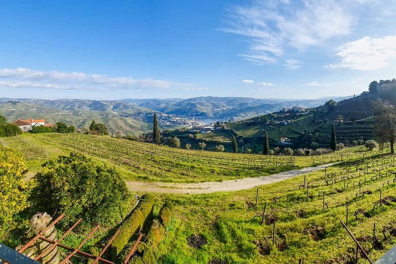 From Porto: Douro Valley with Wineries, Lunch and Boat Trip - The guides can shape the experience