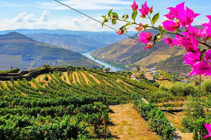 From Porto: Douro Valley with Wineries, Lunch and Boat Trip - Why this Porto day trip works