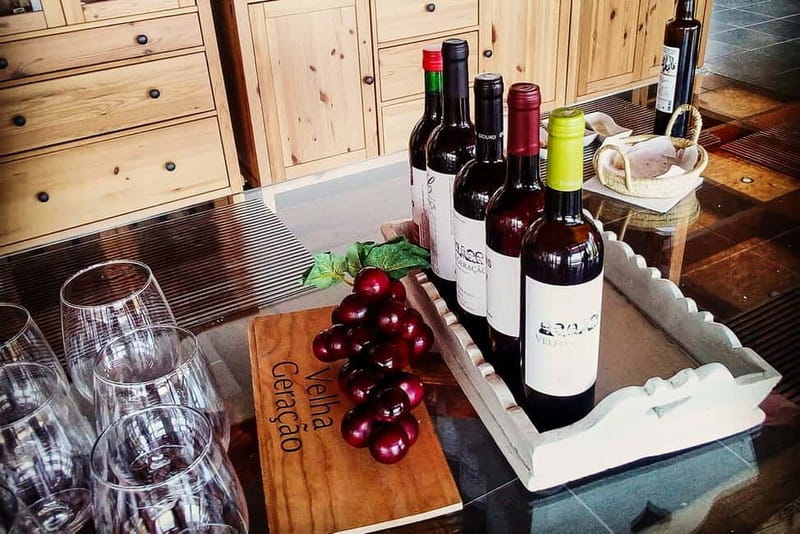 From Porto: Douro Valley with Wineries, Lunch and Boat Trip - Quinta do Seixo and the first Port tasting