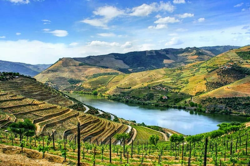 From Porto: Douro Valley with Wineries, Lunch and Boat Trip - Leaving Porto and stopping in Amarante