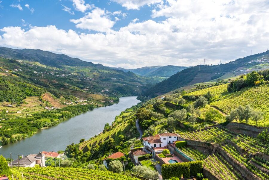 From Porto: Full-Day Douro Historical Tour - Key points to know before booking